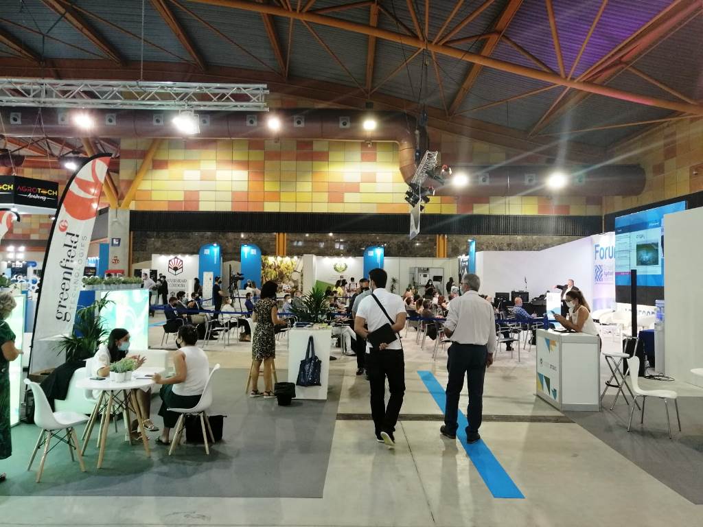 Ecosistemas de Innovación-Smart Agrifood Summit 2021