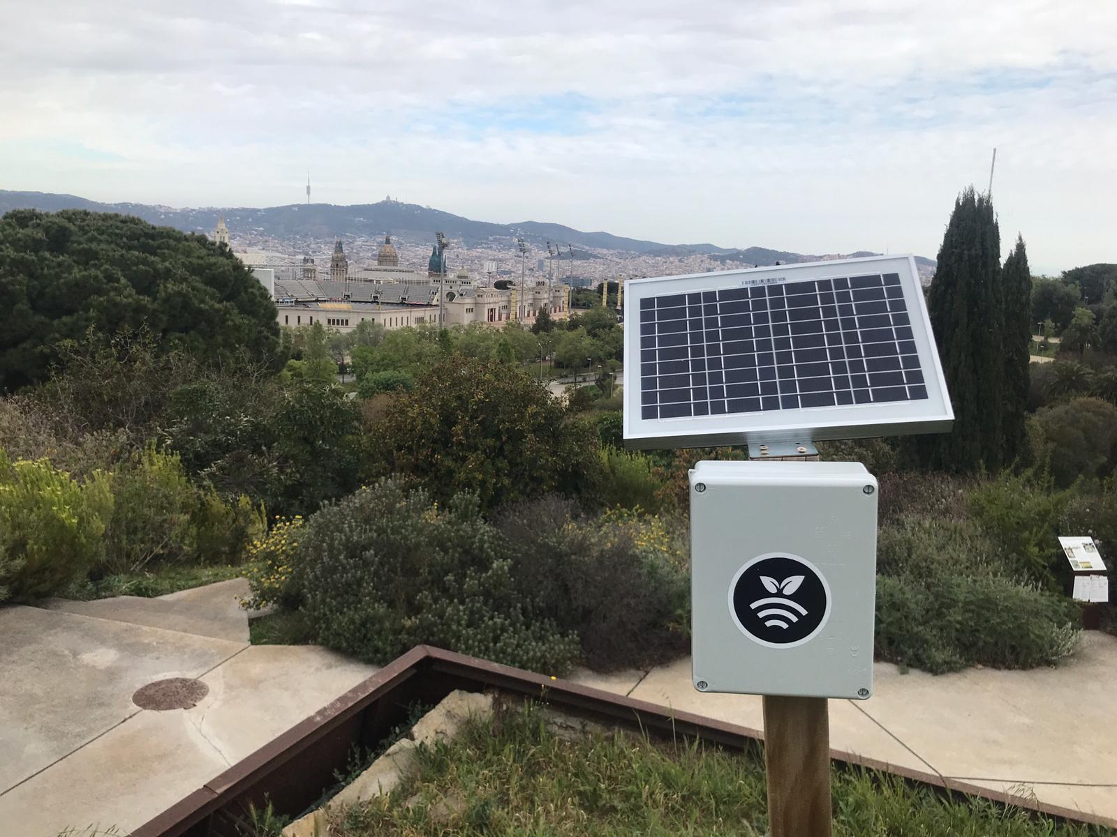 Hub controlando las sondas