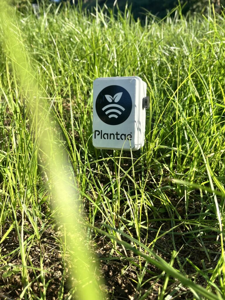 Sonda de humedad en césped. Jardin Botánico en Montjuic
