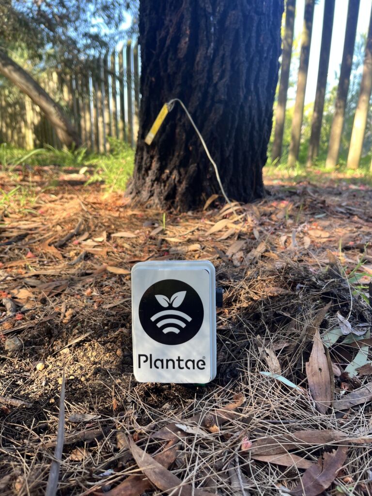 Sonda de humedad en Jardin Botánico en Montjuic-Jardinería de precisión