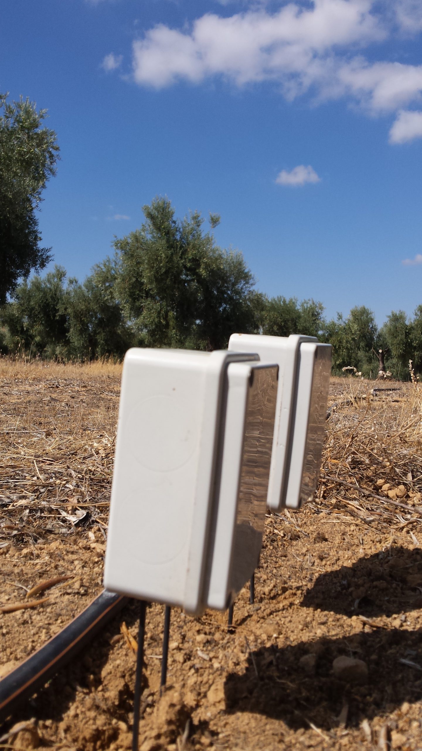 Sensores de humedad Plantae