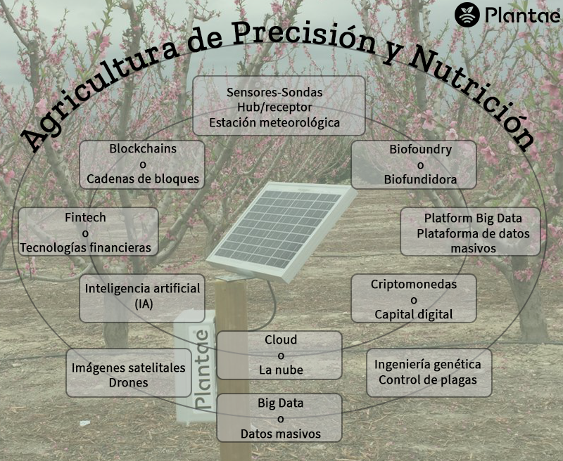 Agricultura de precisión y nutrición