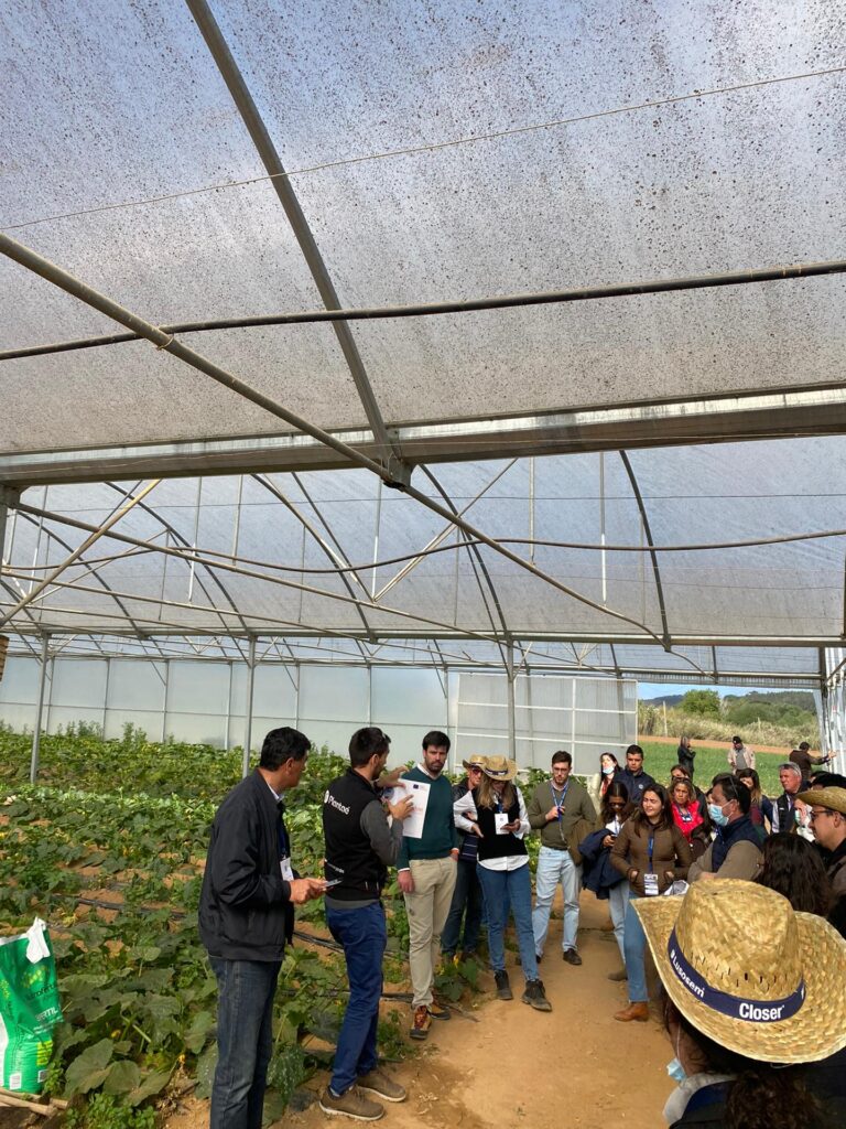 Invernaderos en Pé da Planta