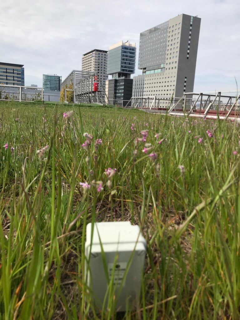 Museo de las ciencias