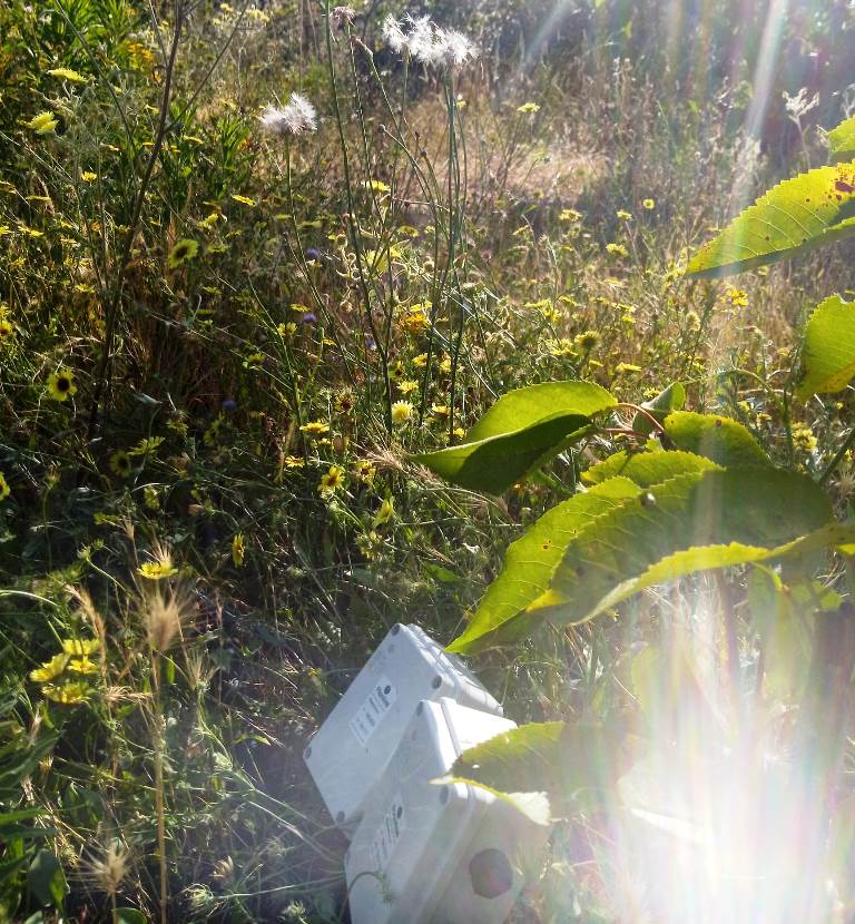 Sensores de Humedad en picotas