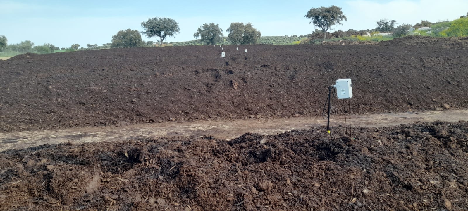 Sondas en Compost