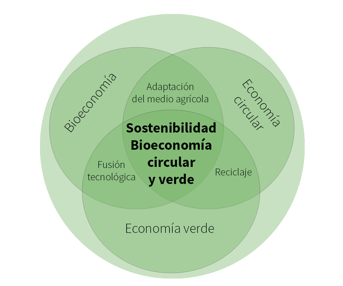 Bioeconomía agrícola circular y vrde