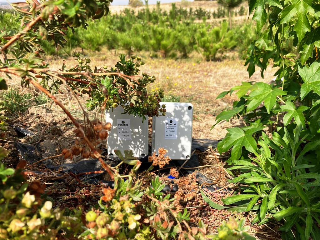 Riego controlado por sensores/sonda Plantae
