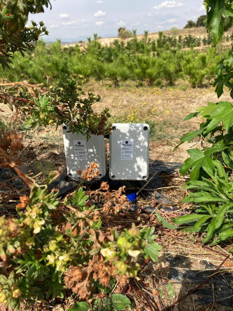 Riego controlado con sensores/sonda en el bonsái