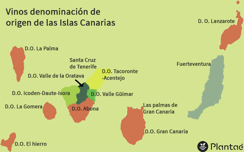 Vinos DO Canarias