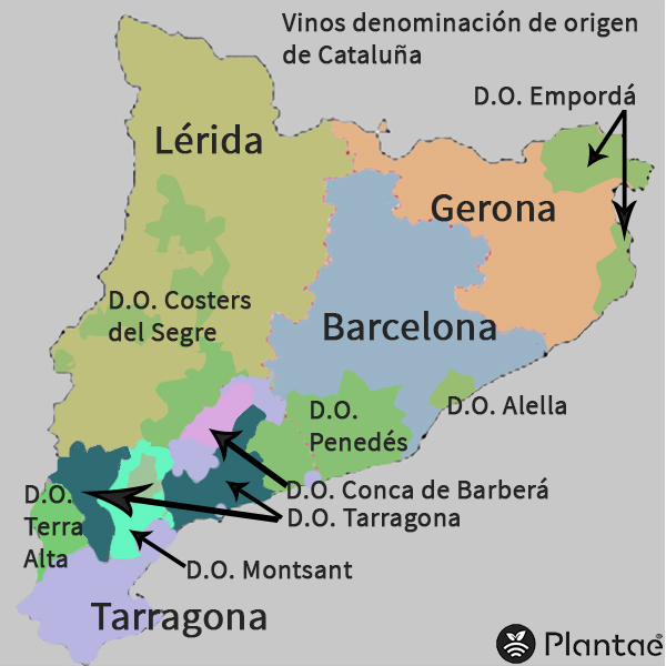 Vinos denominación de origen de Cataluña