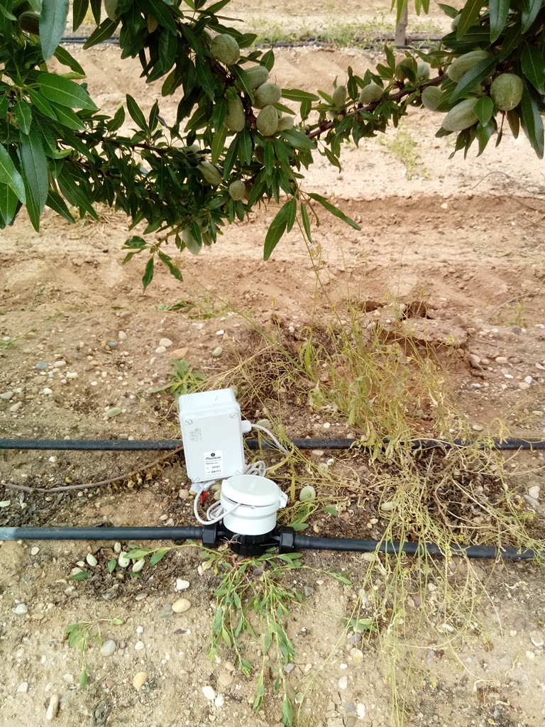 Caudalimetro en almendro intensivo