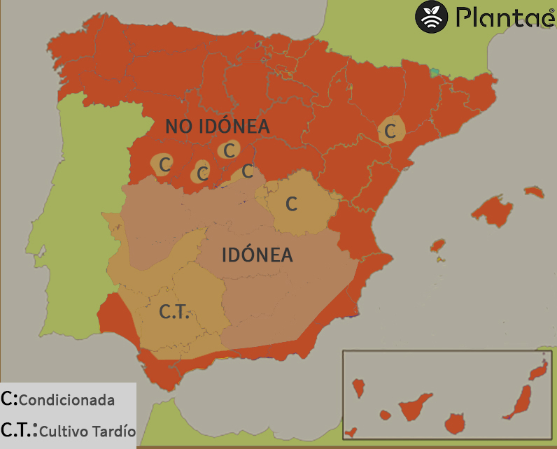 Concentración de pistacho en España