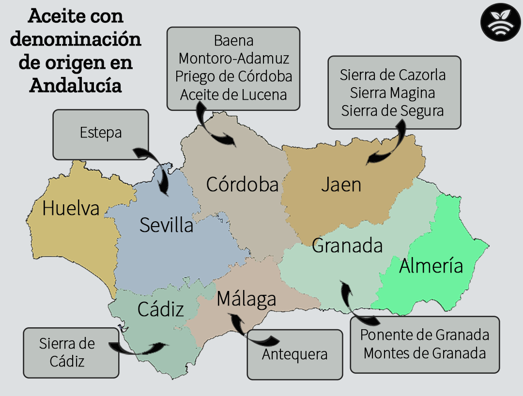 Aceite denominación de origen en Andalucía