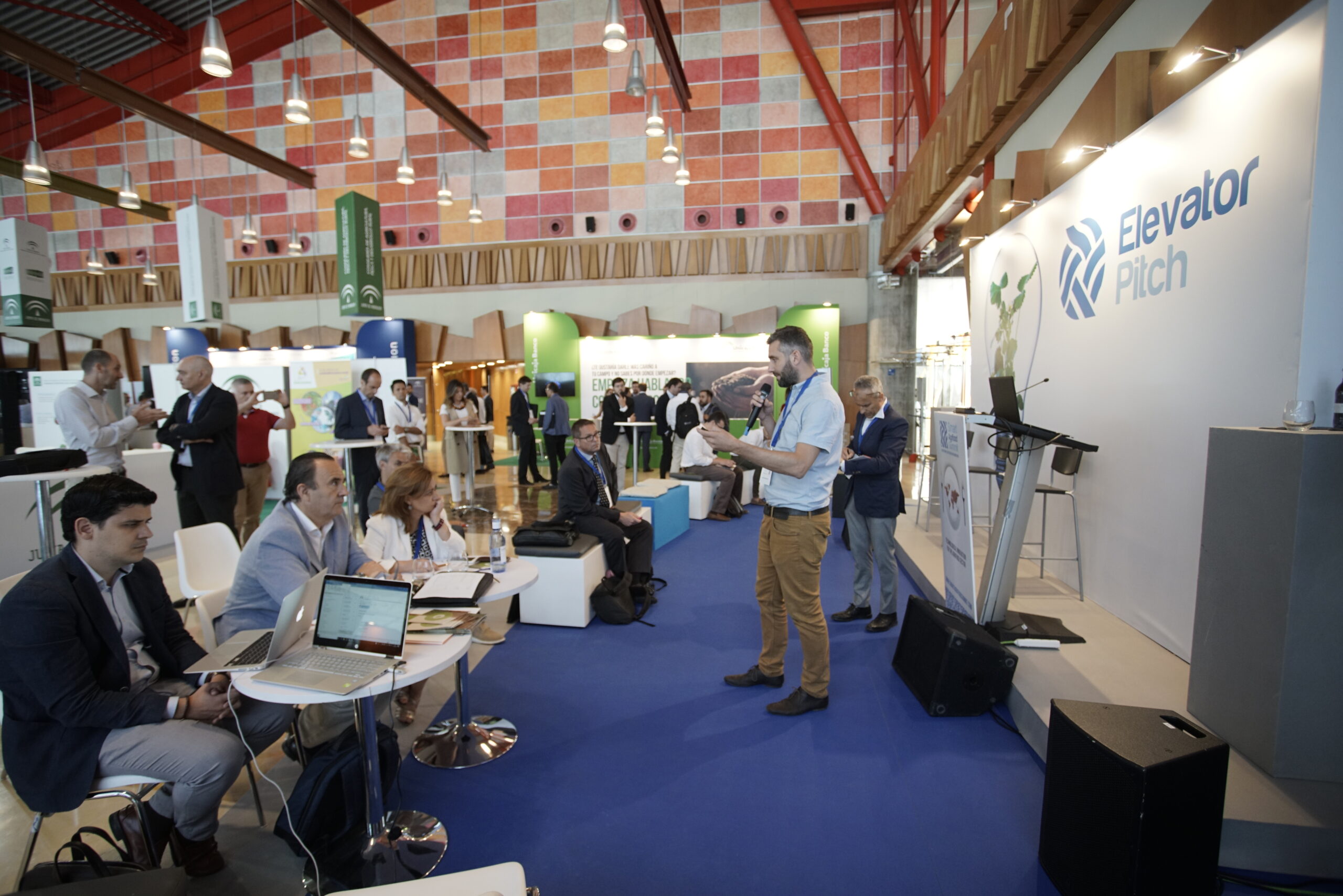 Expoliva-olivos de Jaén