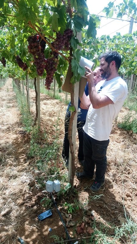 Técnico de Plantae instalando sensores en Argelia