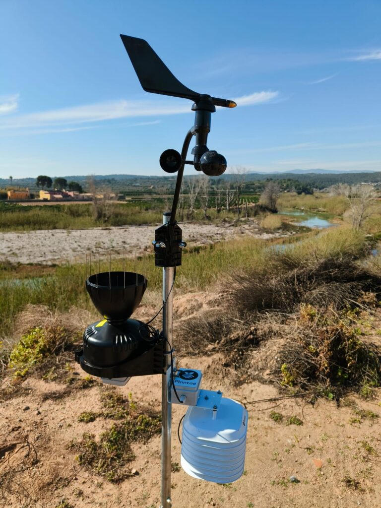 Estación meteo en Alicante-Mandarinas en España