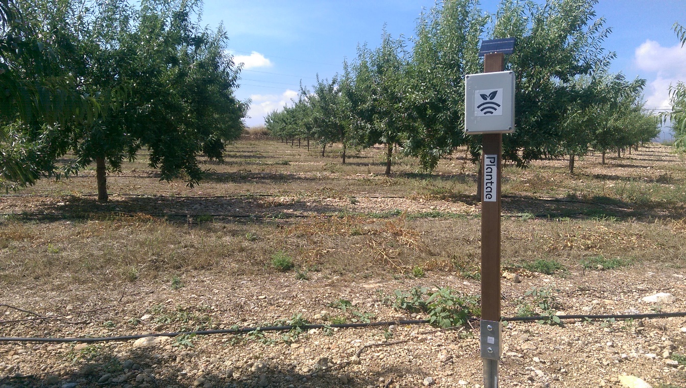 Hub en finca experimental de almendros
