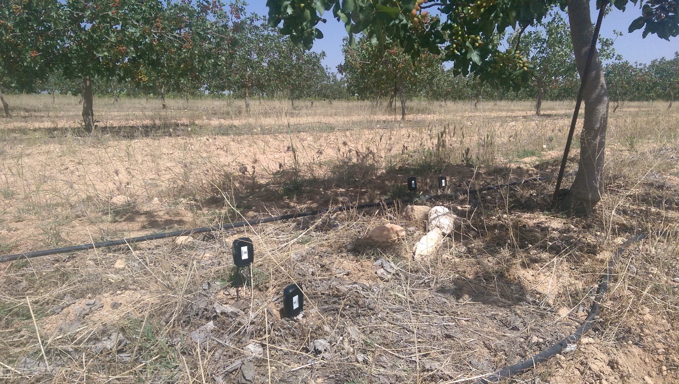 Primeros sensores de humedad