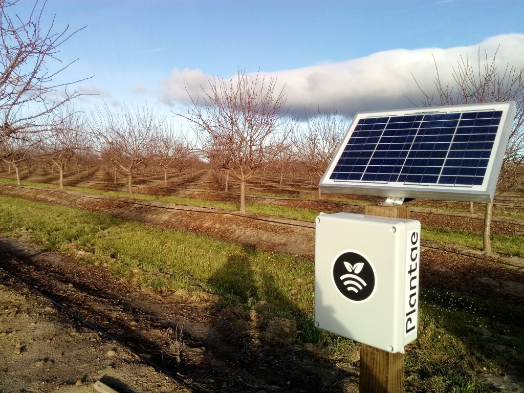 Hub receptor para riego inteligente en almendros de Extremadura