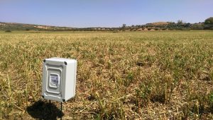 Instalaciones de sensores/sondas en riego