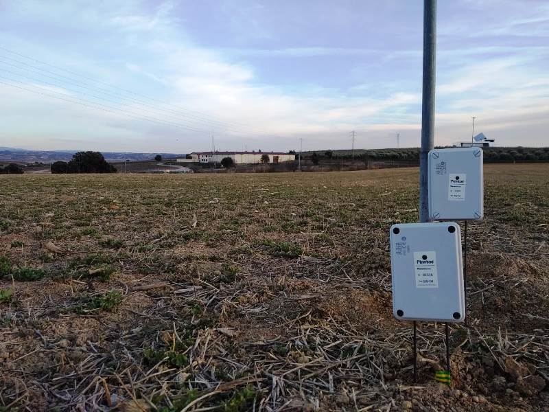 Sensores en alfalfa en Barbastro