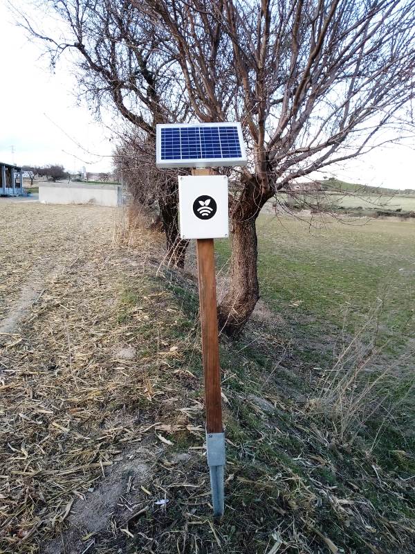 sensores Plantae en cultivo de Barbastro