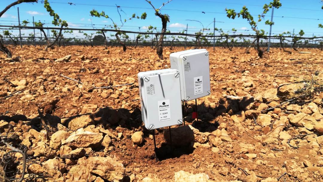 Sensores en Viñedos-Agrovid 2022