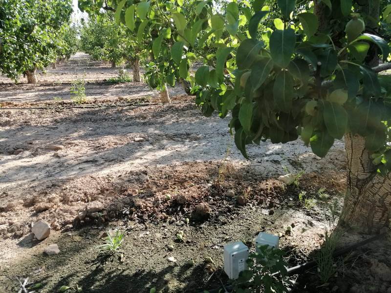 Sensores de humedad en el riego por goteo