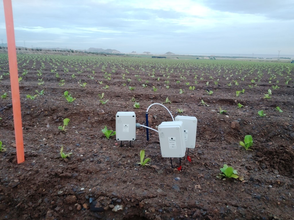 Sensores de temperatura de subsuelo