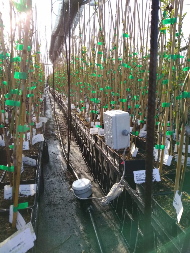 Sondas en trufas y caudalímetro