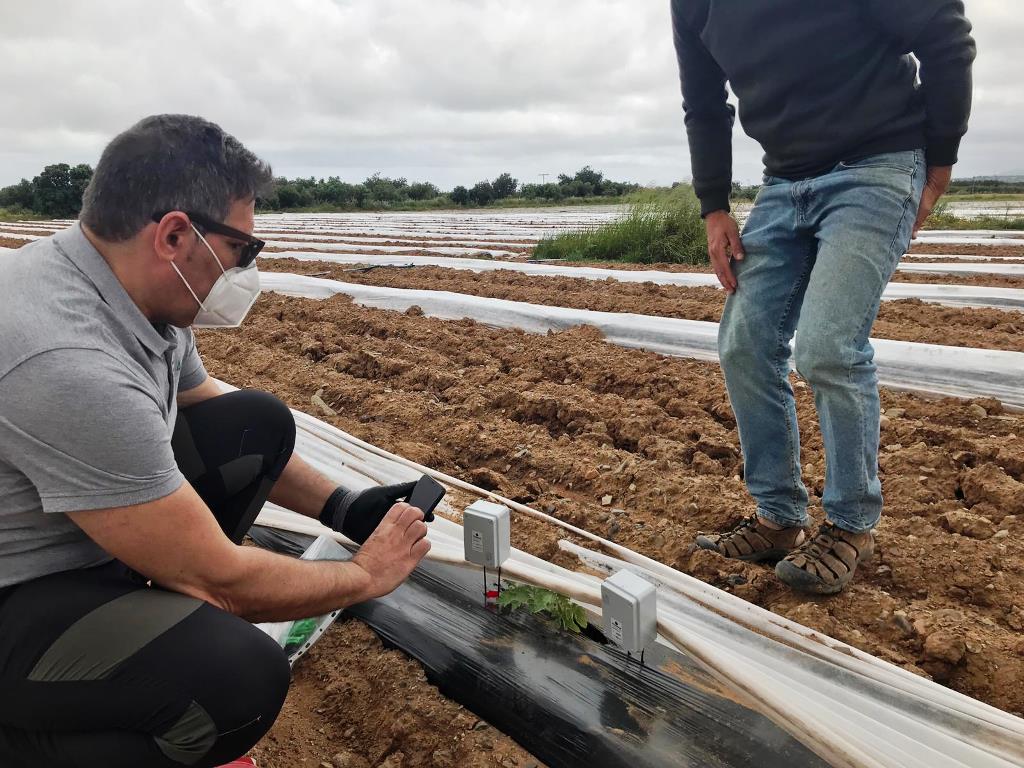 Sensores controlando la humedad del subsuelo