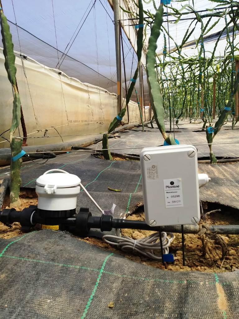 Caudalímetro en plantación intensiva