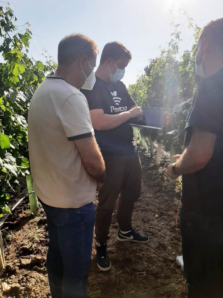 Prácticas guiadas por Plantae en viñedos