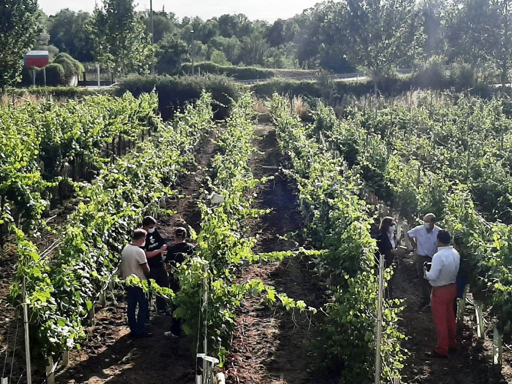 Plantae instalando sensores