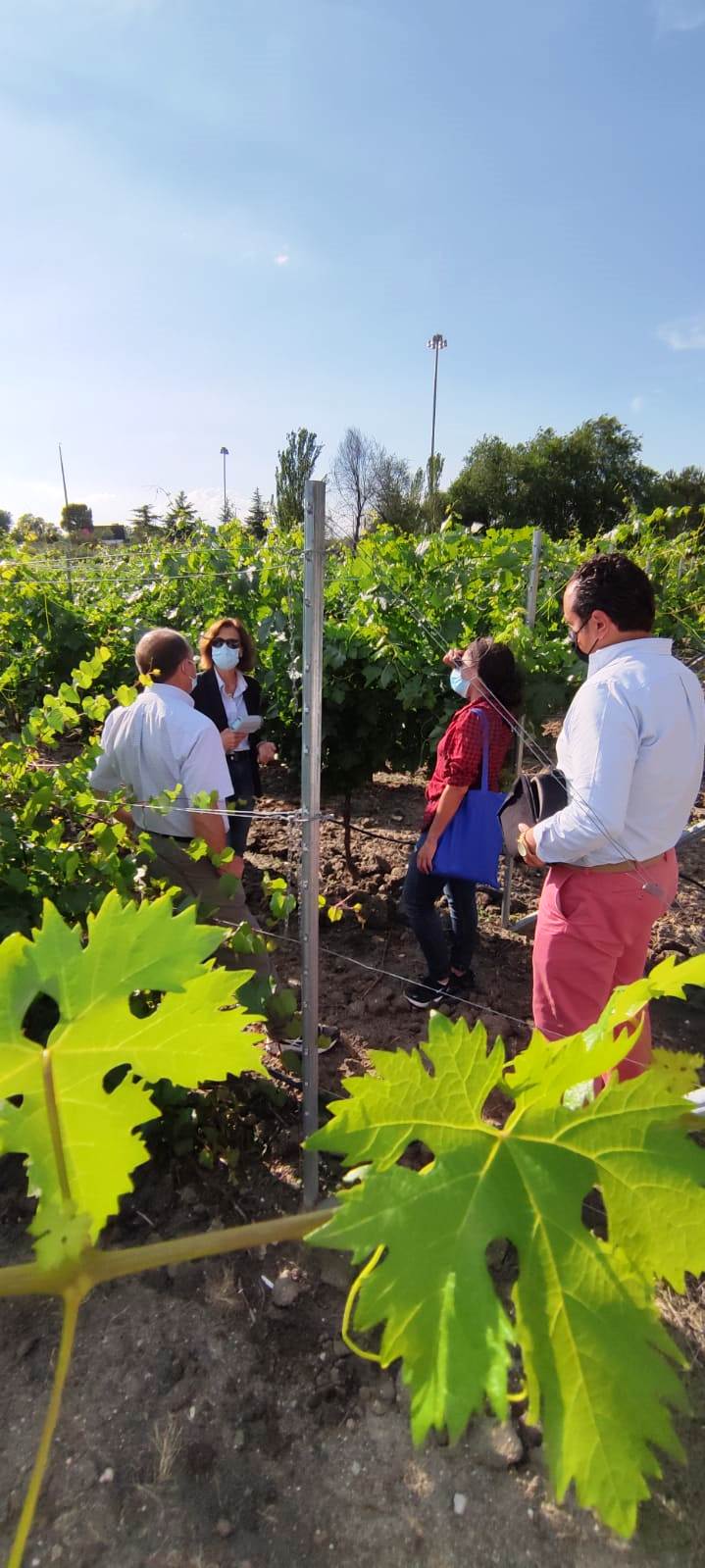 Plantae instalando sensores