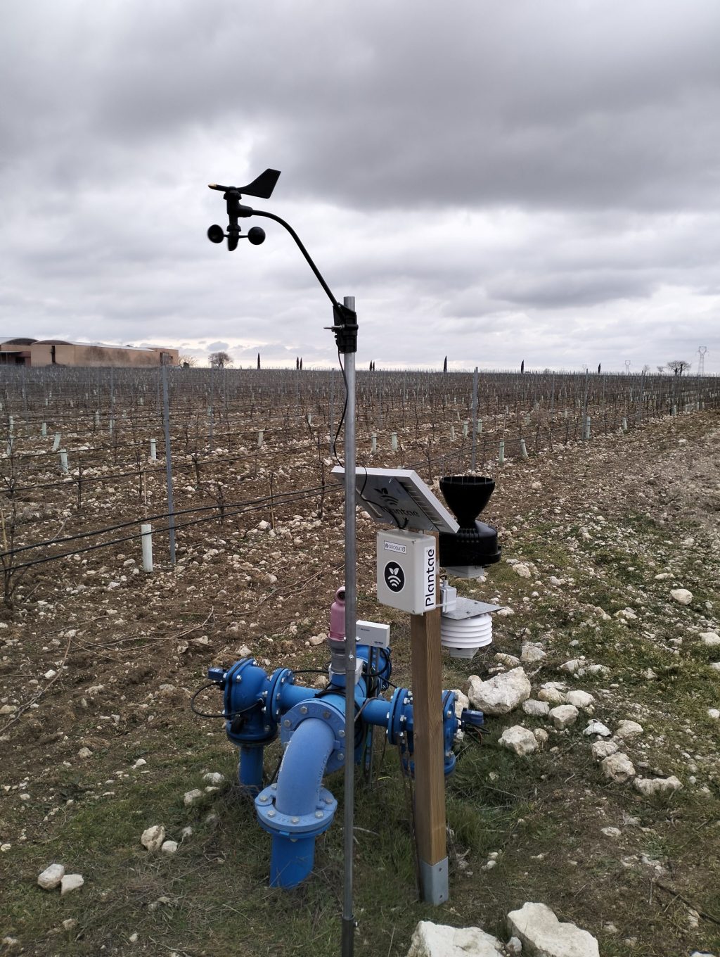 Anemómetro con placa solar y estación Meteo en finca de viñedo