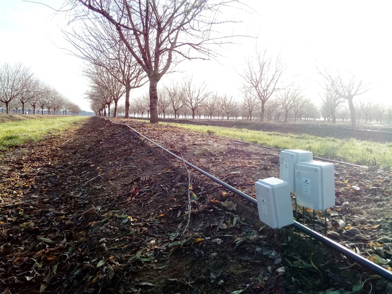 Agricultura en Extremadura con sensores Plantae