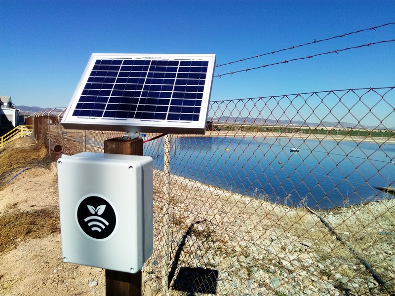 Control del riego de alcachofa con Plantae