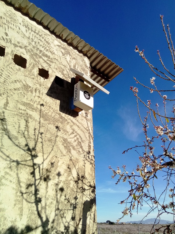 Hub en Pliego de la Vega