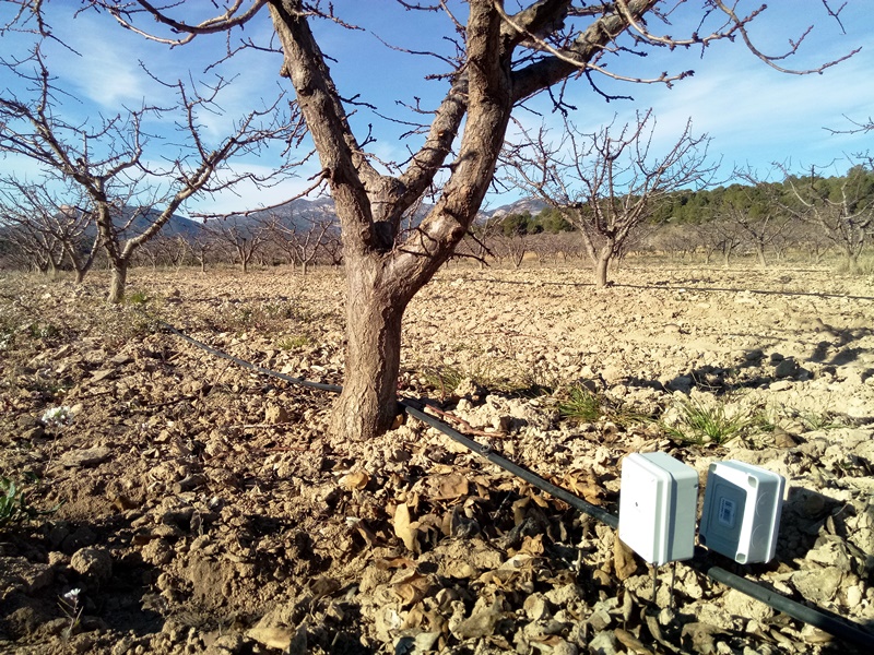 Sensores de humedad en Jumilla Murcia