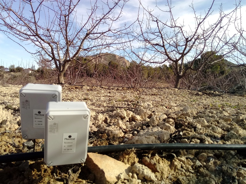 ahorro inteligente de agua