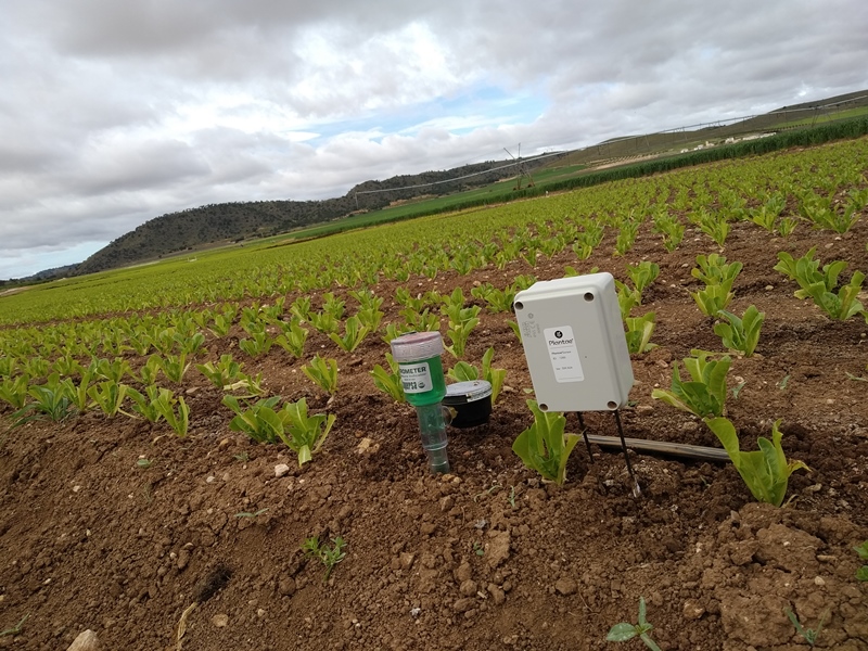 Plantae obtiene el sello EIBT