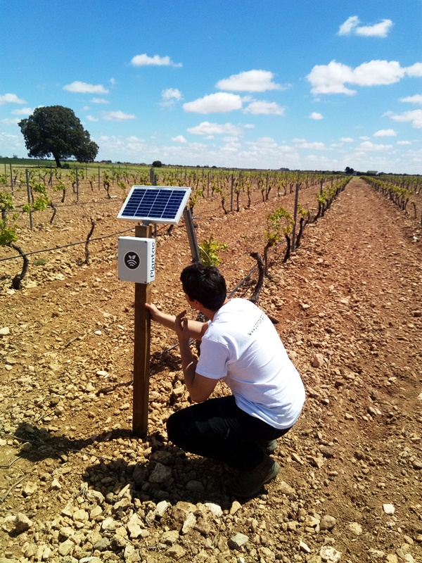 viabilidad del sensor de humedad