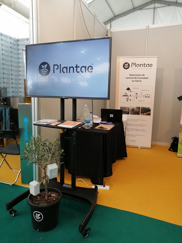 Plantaeen oxpoliva-Olivos de Jaén