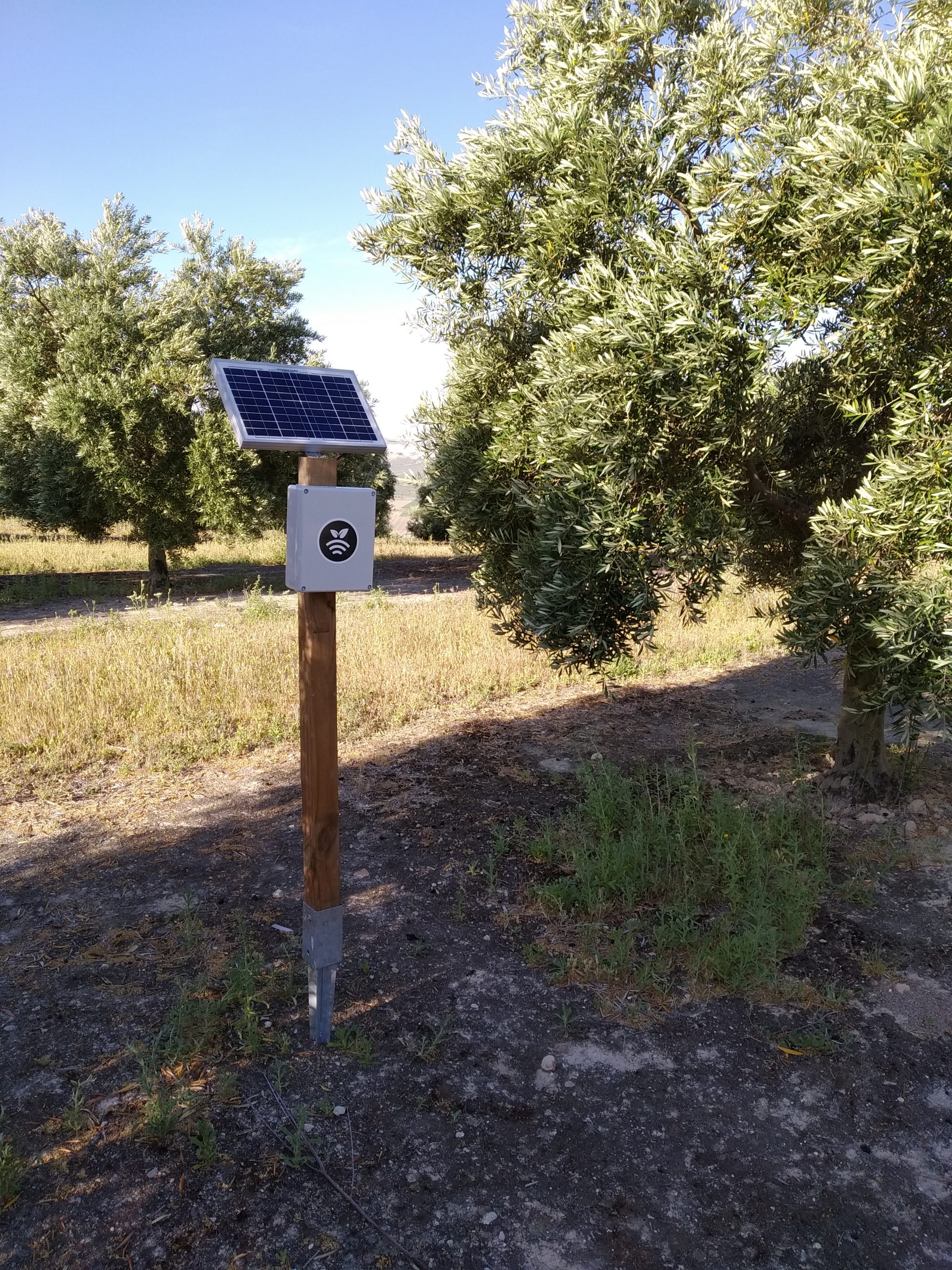 Hub Controlando los sensores/sondas agrícolas en olivos