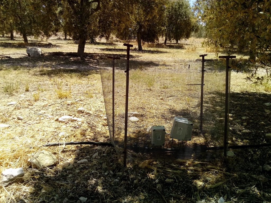 Sensores/sondas a tres profundidades