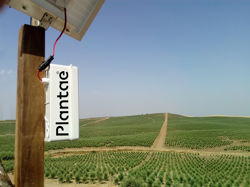 Hub en olivar Optimizando el uso del agua