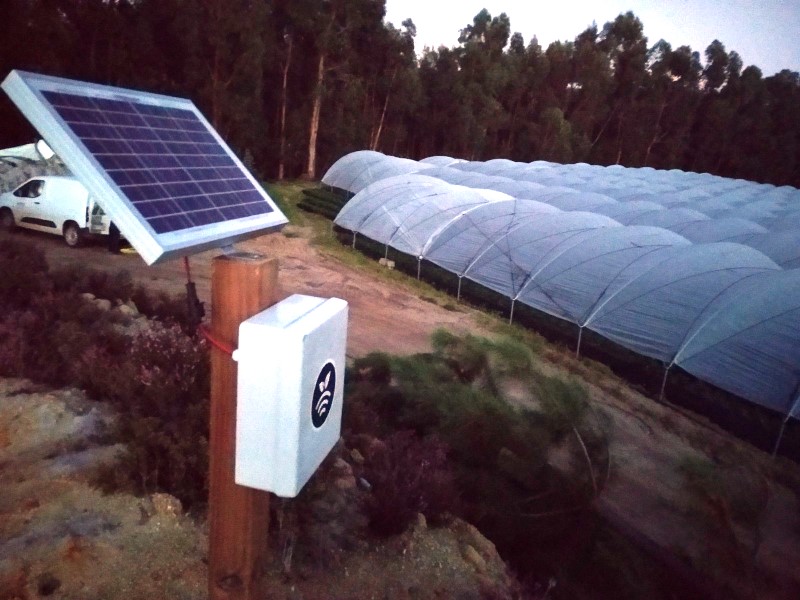 Invernaderos en Torres vedras