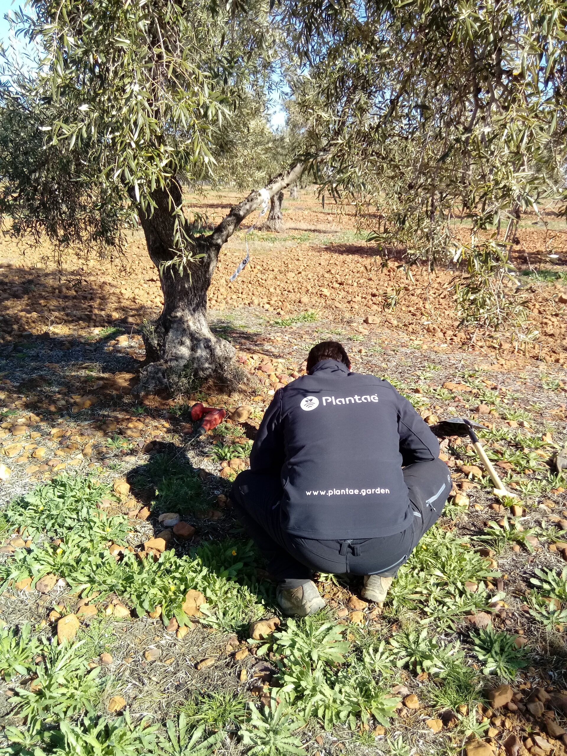 Operario de Plantae instalando sensores
